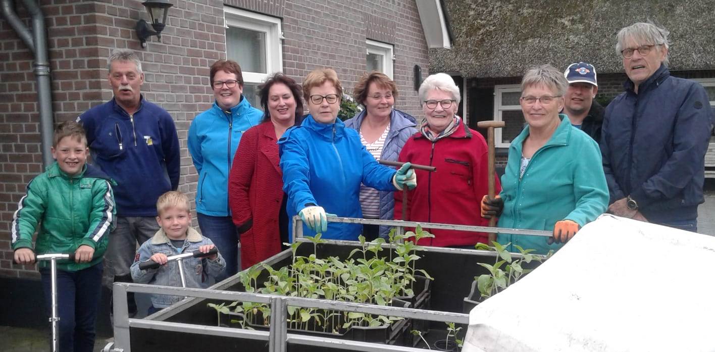 Zonnebloemplanten aan de Linerteseweg 4