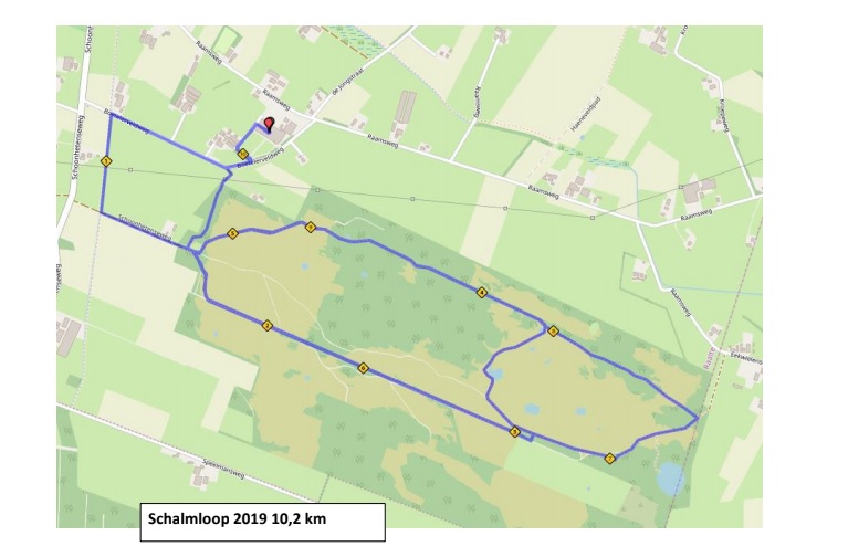 10.2 km