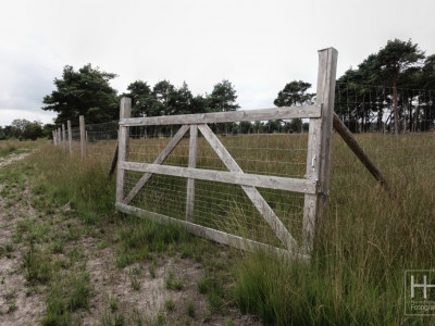 Boetelerveld anno 18.08.2022