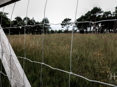 Boetelerveld anno 18.08.2022