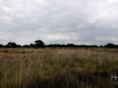 Boetelerveld anno 18.08.2022