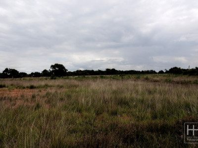 Boetelerveld anno 18.08.2022