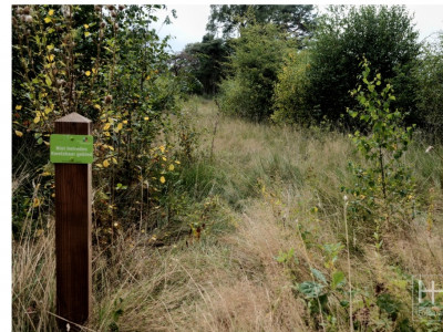 Boetelerveld anno 18.08.2022