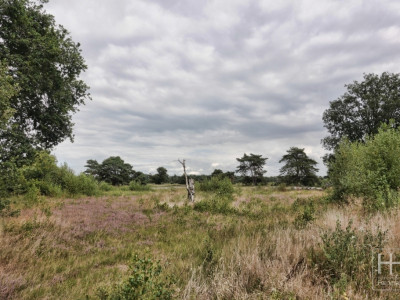 Boetelerveld anno 18.08.2022