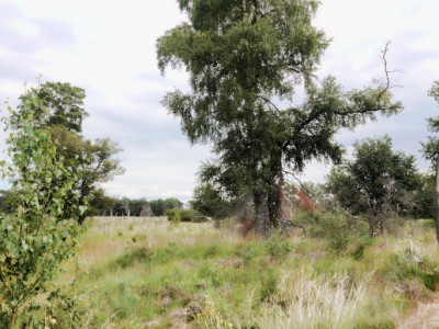 Boetelerveld anno 18.08.2022