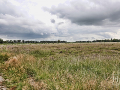 Boetelerveld anno 18.08.2022