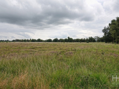 Boetelerveld anno 18.08.2022