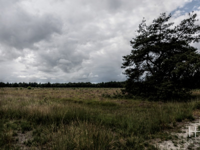 Boetelerveld anno 18.08.2022