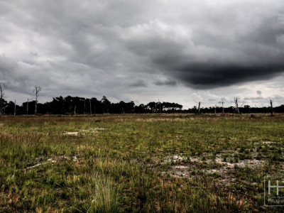 Boetelerveld anno 18.08.2022 7