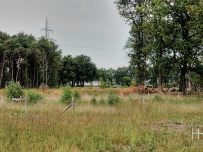 Boetelerveld anno 18.08.2022 8