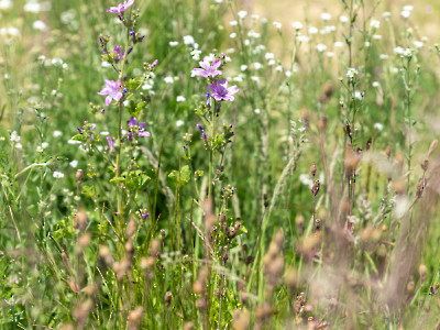 2023 Bezoek natuur monumenten 2