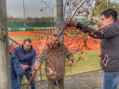 Voorbereiding winterprogramma (010)