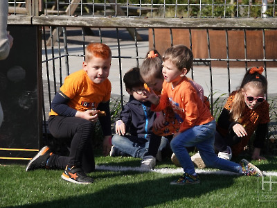 Koningsdag 2023