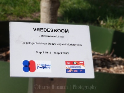 Onthulling Plaquette 80 jaar Vrijheid • 2025  13
