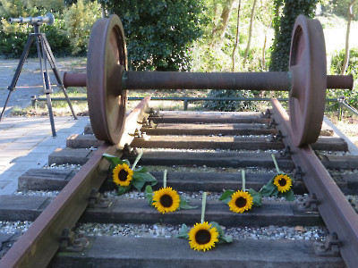 Vredeswandeling Raalte Mariënheem