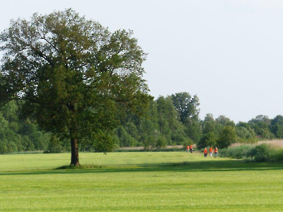 Wandeldriedaagse 2023