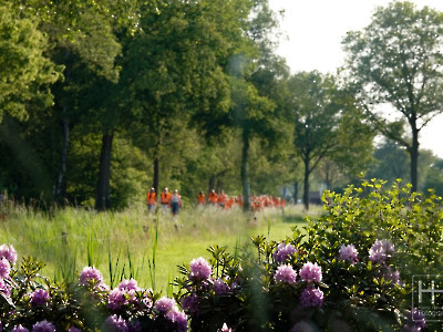 Wandeldriedaagse 2023