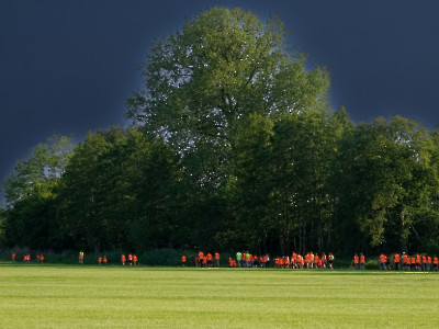 Wandeldriedaagse 2023