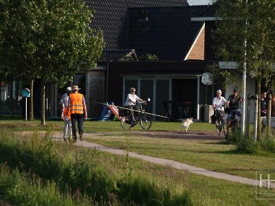 Wandeldriedaagse 2023