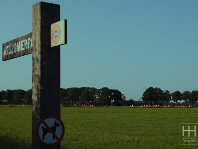 Wandeldriedaagse Mariënheem 41